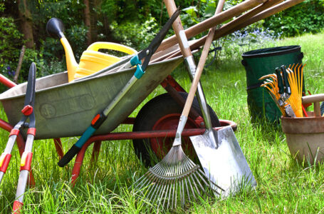 ابزار باغبانی، آشنایی با وسایل مورد نیاز برای آرایش گیاهان